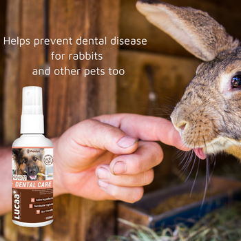 LUCAA+ Pet Probiotic Dental Care