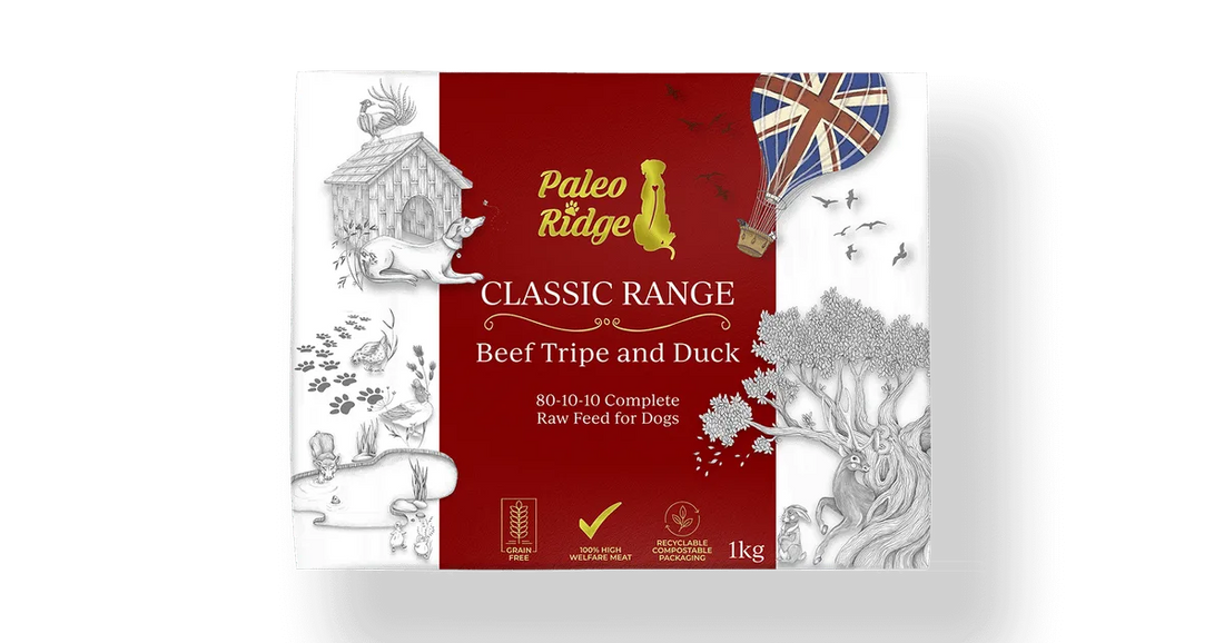  Paleo Ridge dog food package with red label and white illustrations on a white background