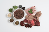Paleo Plus Lamb and Mint 500g